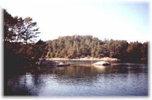 Picture from the island where I live